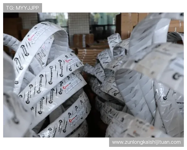 尊龙z6国际站：提供尊龙z6产品的全球物流解决方案，确保快速高效的交付体验