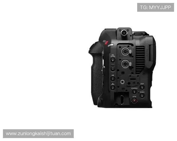 尊龙z6官网官网地址导航,确保每位玩家都能快速安全登录体验 尊龙z6官网官网地址导航,确保每位玩家都能快速安全登录体验