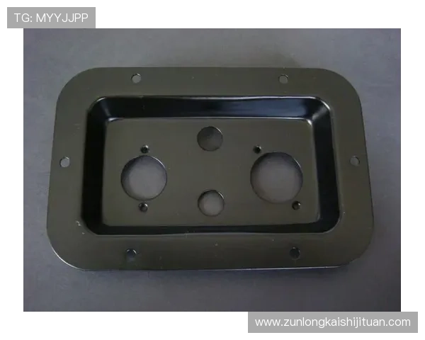 尊龙官网登录：安全登录流程详细介绍与常见问题解决方案