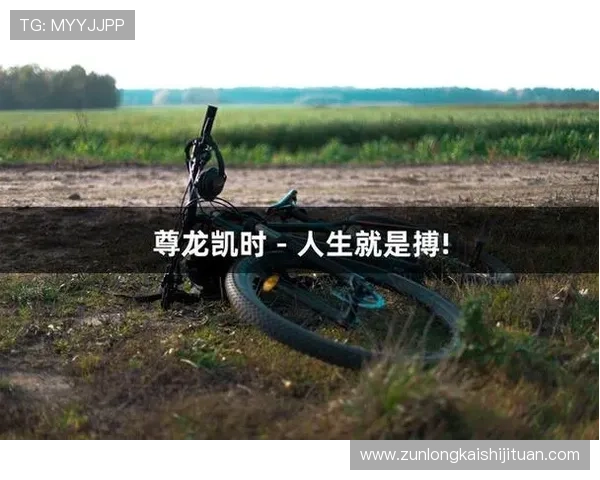 深入了解尊龙凯时官方网站的安全性与合法性保障